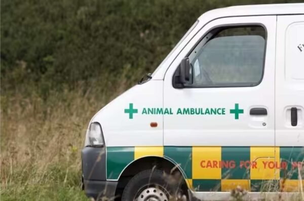 Medical Support For Ambulance